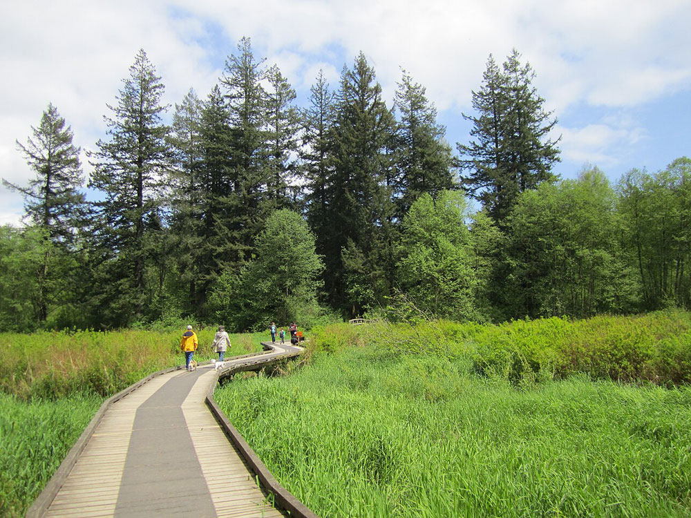 Environmental Concerns with the Andion Global Biogas Facility